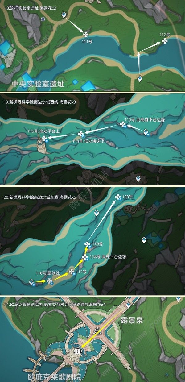 原神4.5海露花采集路线图最新 4.5海露花收集点位一览图片7