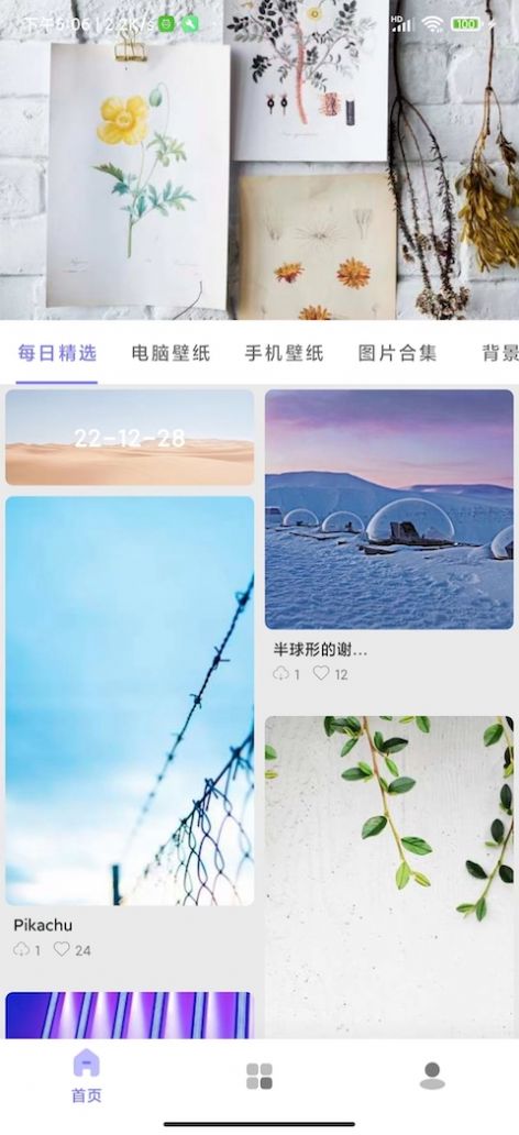 派派壁纸高清版app下载 v8