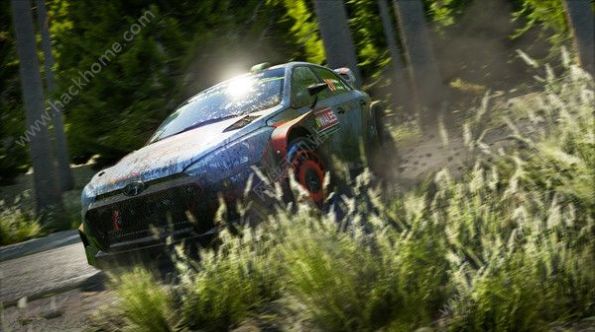 WRC 7巴音布鲁克拉力赛游戏中文版下载图片2