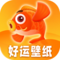 好运壁纸app官方下载 v1.0.0