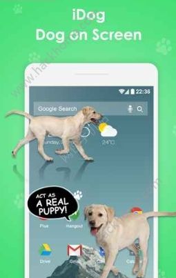 idog狗在屏幕上软件下载app官方手机版 v1.2