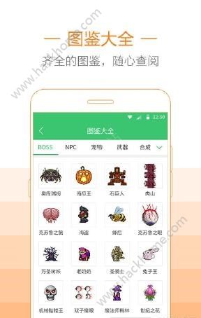 4399泰拉瑞亚盒子助手官方下载 v1.4.1