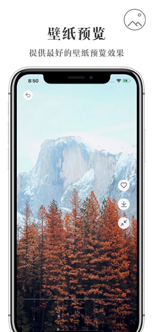 壁纸坊app软件下载图片1