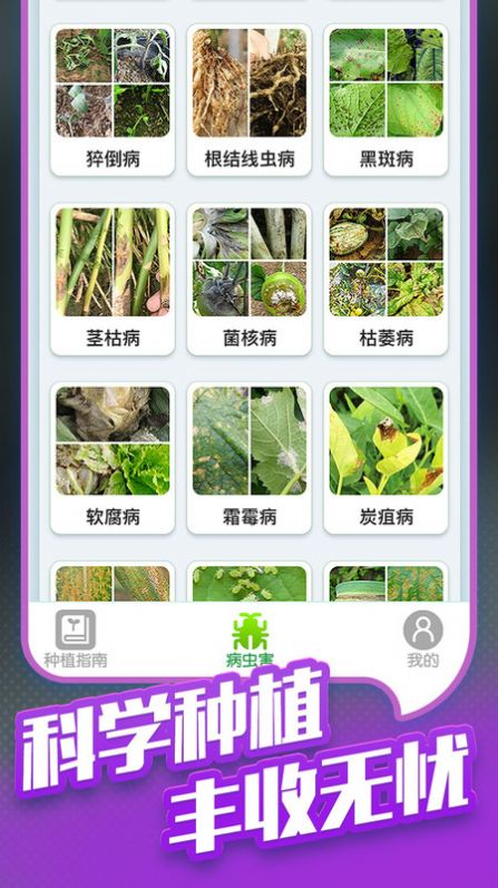 种菜专业户手机版下载 v1.0