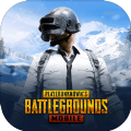 pubg国际服2.2版本下载安装官方正版 v3.3.0