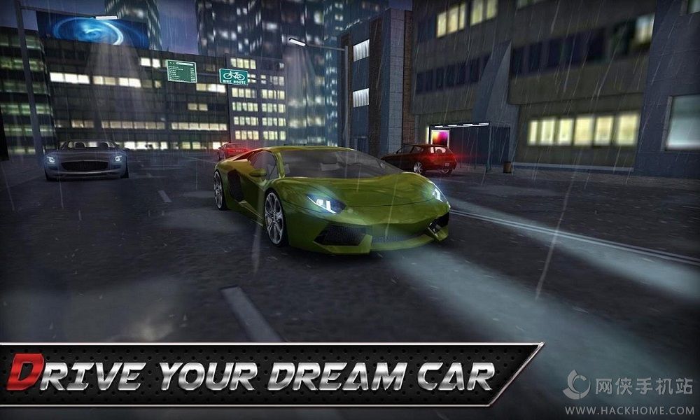 真实驾驶3D中文安卓版(Real Driving 3D) v1.5.1