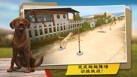 狗狗度假酒店DogHotel游戏官网中文安卓版 v1.9.3