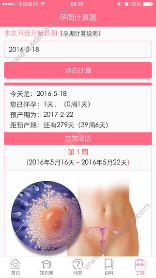 孕周计算器软件下载app v0.0.5