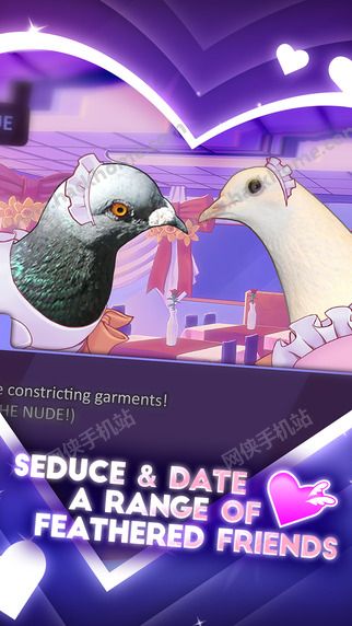 帅鸽男友游戏中文汉化安卓版（Hatoful Boyfriend） v1.0