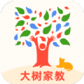 大树家教App手机版下载 v1.0