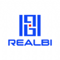 REALBI行业资讯下载 v1.4