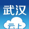 云上武昌app下载官网手机版 v1.0