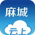 云上麻城官网app下载 v1.0.8