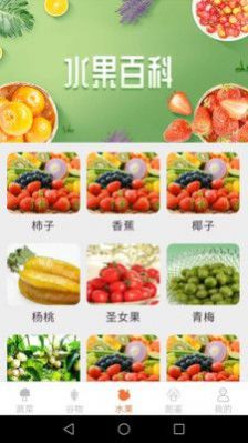 绿色菜园子蔬菜百科app下载 v1.3.2