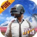 pubg游戏下载国际服体验服最新版 v3.3.0