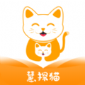 慧探猫绘本教育下载 v1.0.7