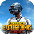 pubg若黎直装v1下载最新版 v3.3.0