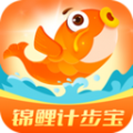 锦鲤计步宝app官方下载 v1.4.3