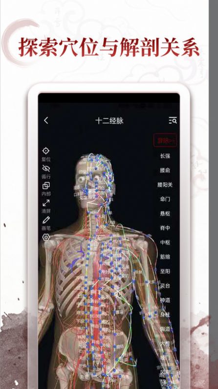 中医经络穴位学习软件下载 v2.0.1