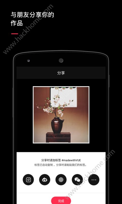 VUE软件下载app v2.0.12