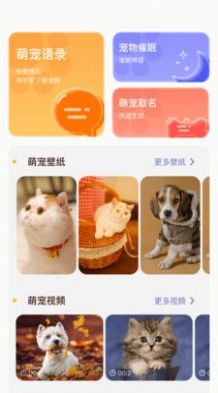 萌宠日常翻译器app软件下载 v1.1