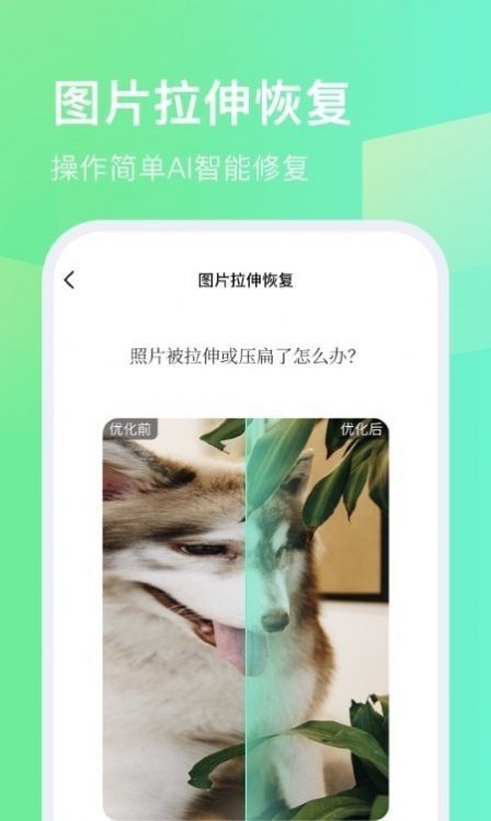 今天拍水印相机app最新版下载 v1.0.1