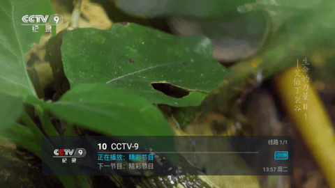 瑶瑶TV电视盒子下载 v5.2.1