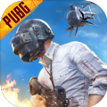 pubg mobile(国际服)体验服下载免费正版 v3.3.0