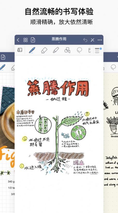 GoodNotes 5ios免费版app下载 v5.7.42