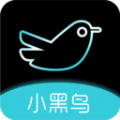 小黑鸟app官方最新版本下载安装手机版 v1.0.2