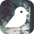 Bird Photography鸟类摄影app官方下载 v1.2