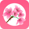 桃缘交友APP软件手机版 v1.5.645