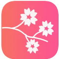 桃花相机ins特效拍照app下载 v2.33