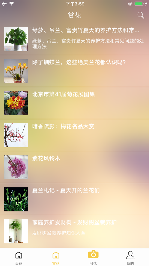 问花赏花识别app手机版 1.0