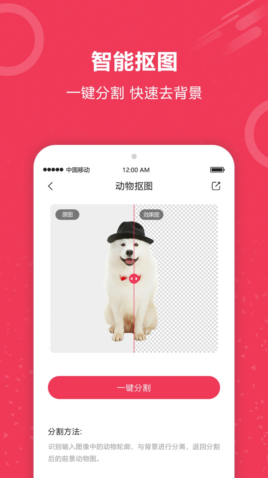 自动抠图神器app官方版下载 v1.0