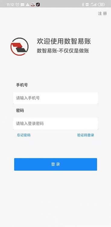 数智易帐app手机版下载 v1.1