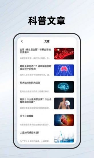 人体骨骼医学应用软件app下载 v1.0