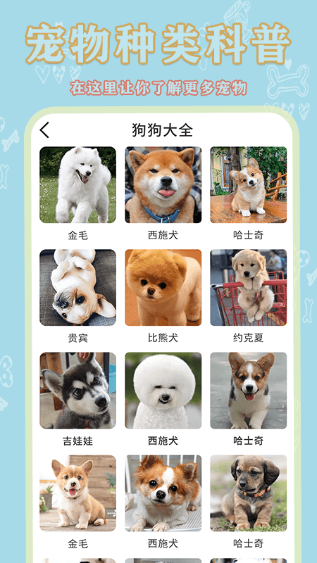 宠物大全app官方手机版下载 v1.0