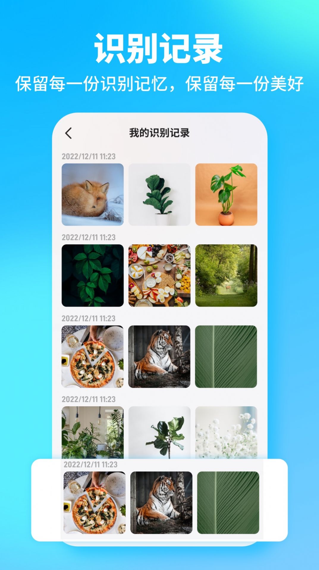 一键扫描全能王app手机版下载 v1.0.0