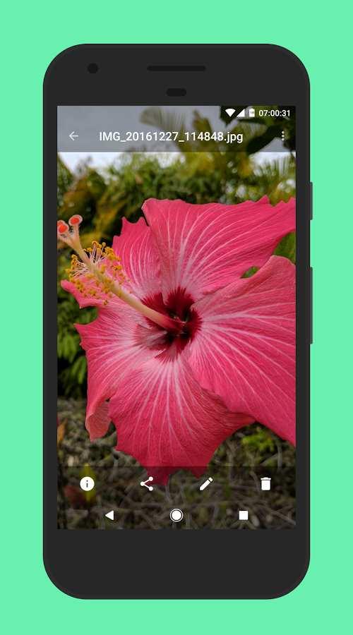 胶卷相册Camera Roll app软件官方版 v1.0.6