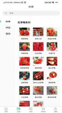 泉水草莓购物app手机版下载 v2.2.0