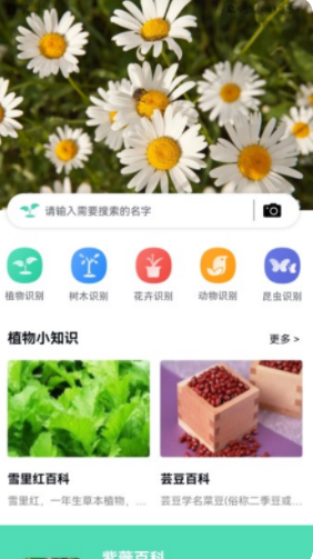 全能拍照识图app手机下载 v1.1