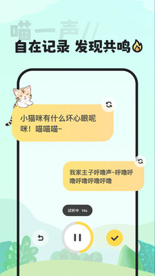 喵丸交友app软件下载 v1.0.0