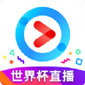 优酷谷歌商店版无广告app下载 v10.1.5