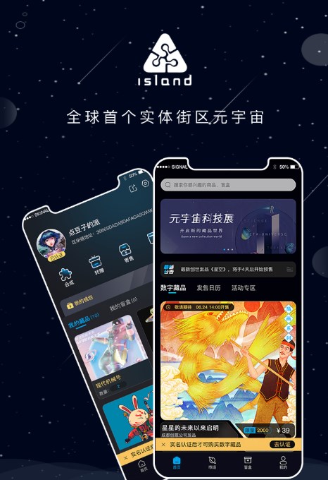 island艺术空间数字藏品app官方下载图片1