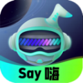 Say嗨元宇宙社交app官方下载 v1.0.2